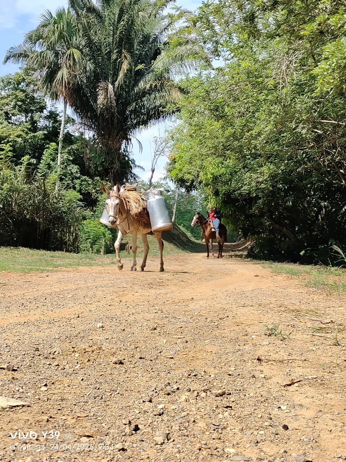 Foto de Mandinga 1
