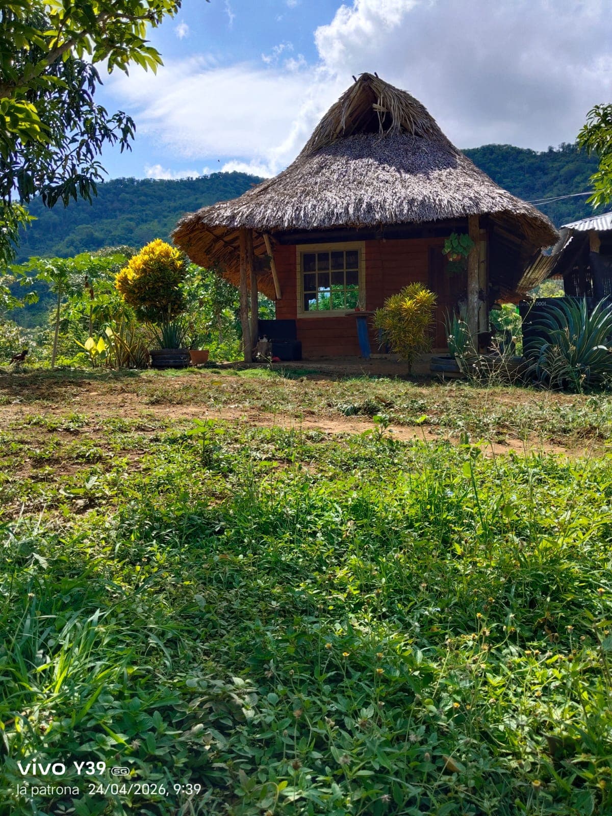 Foto de Mandinga 4
