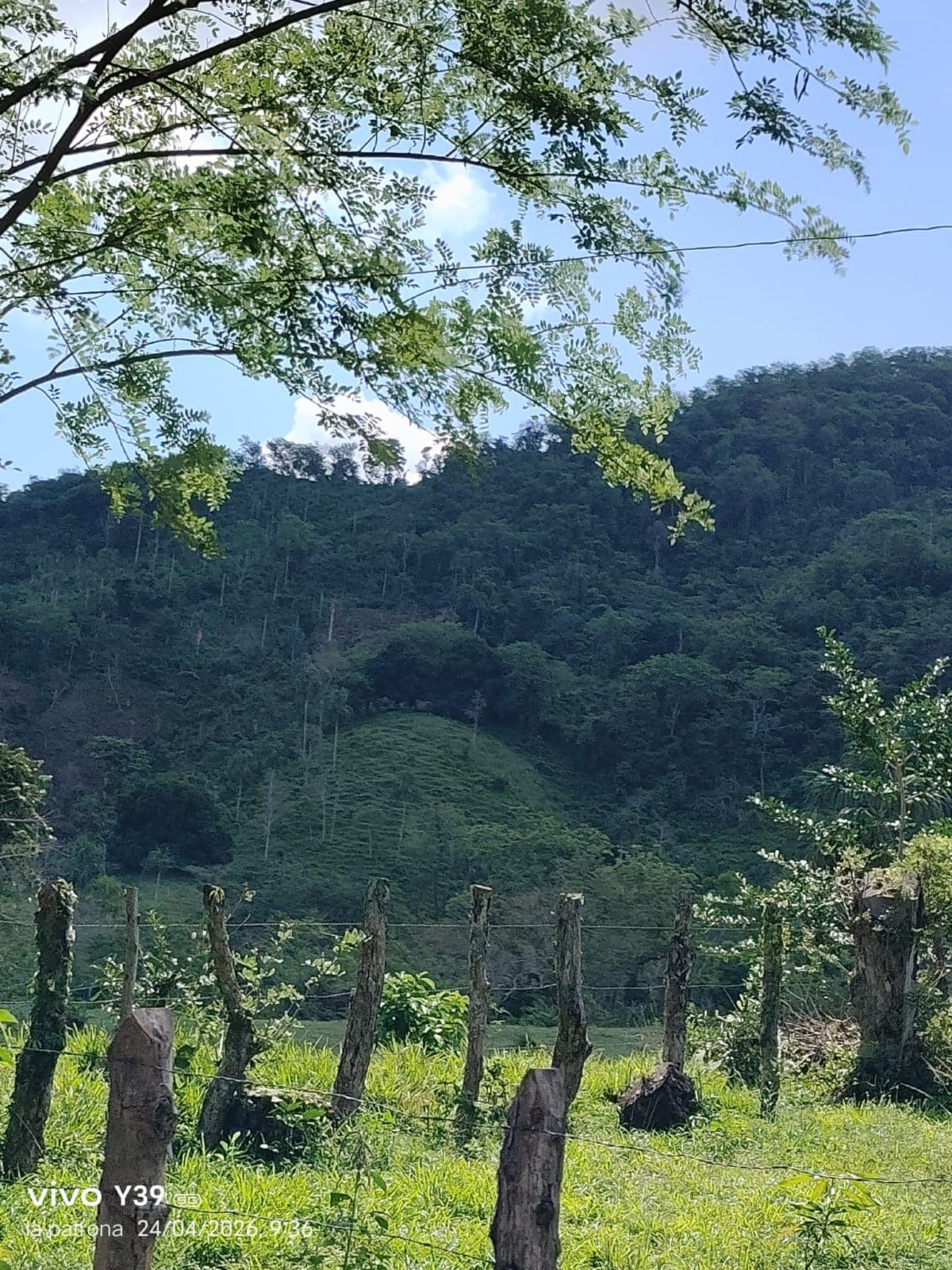 Foto de Mandinga 3