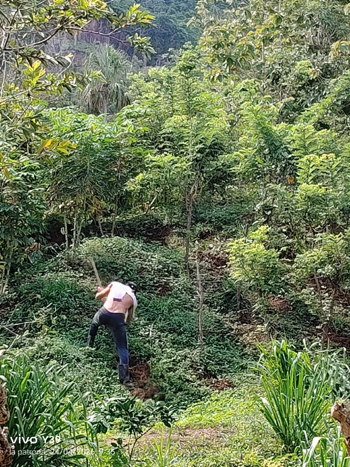 Foto de Mandinga 5
