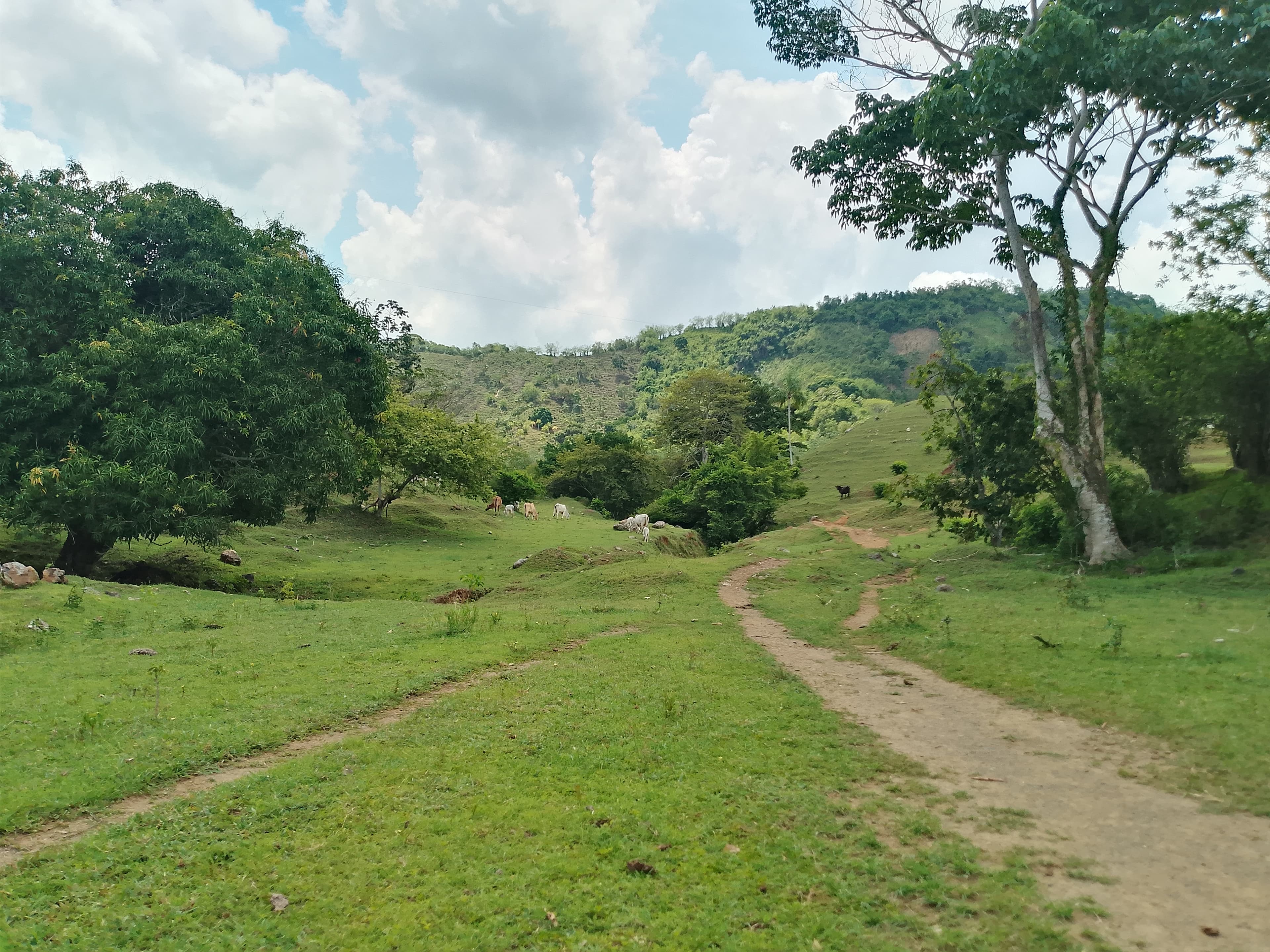 Foto de Mandinga 2
